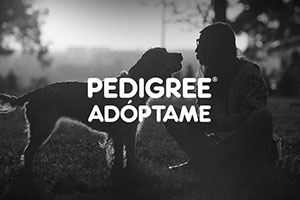 Pedigree Adóptame